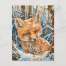 Search for woodland foxes postcards For kids