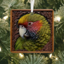 Search for green parrot ornaments Bird