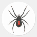Search for widow stickers Black widow spider