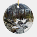 Search for estes park ornaments Hiking