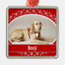 Search for pet memorial ornaments Deceased