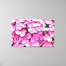 Recherche de hortensia rose posters Floral