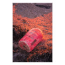 Recherche de rivage posters Surf