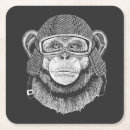 Search for chimp monkey coasters Funny