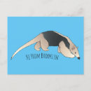 Recherche de fourmilier cartes postales Tamandua