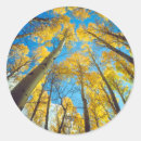 Search for aspen stickers Blue