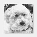 Search for dog breed magnets Puppy