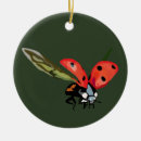 Search for ladybird ornaments Cute