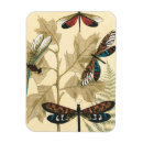 Recherche de libellule magnets Animaux