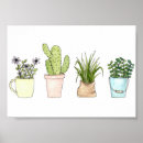 Recherche de plante en pot posters Mignon