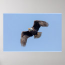 Search for 36x24 posters Animal