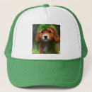 Search for labrador hats Puppy