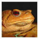 Search for will be toad art For kids