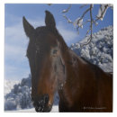 Recherche de corps carreaux Les etats unis