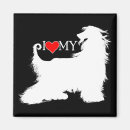 Search for afghan magnets Dog