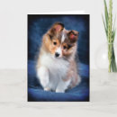 Search for sheepdogs cards Puppy