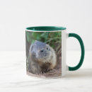 Recherche de marmottes tasses Mignon