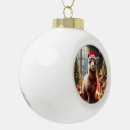Search for alpaca ornaments Santa