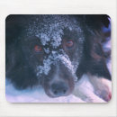Recherche de visage chien tapis souris Animal