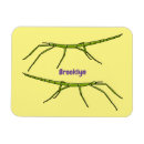 Recherche de vert rouge magnets Animaux