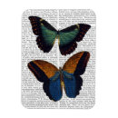 Search for butterfly magnets Antique