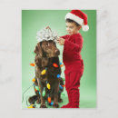 Search for chocolate labrador christmas cards Children