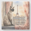 Recherche de chat siamois dessous de verres Mignon