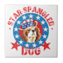 Recherche de cavalier carreaux Cavalier roi charles spaniel