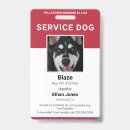 Search for service dog badges Red