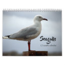 Search for seagull calendars Birds