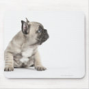 Search for pedigree dog mousepads Nature