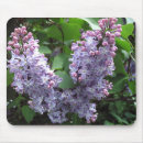 Recherche de plantes vertes tapis souris Ressort