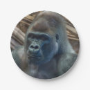 Search for gorilla paper plates Wildlife