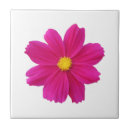 Recherche de cosmos carreaux Fleur
