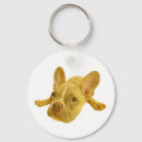 Search for fawn keychains French bulldog