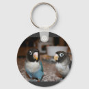 Search for bird watcher round keychains Cute