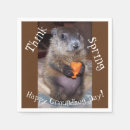 Recherche de marmotte serviettes Rongeur
