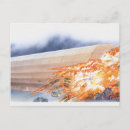 Search for studio shot postcards History