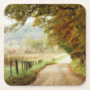 Search for path coasters Road