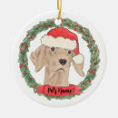 Search for vizsla ornaments Red