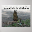 Search for nut with squirrel posters Animals