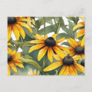 Search for black eyed susans postcards Flowers