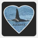 Search for killer whale stickers Wildlife