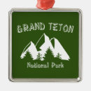 Search for wyoming ornaments Outdoors