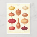 Search for seeds illustrations postcards Catalogue