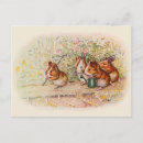 Recherche de gui cartes postales Cobaye