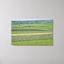 Recherche de beaux toiles Nature