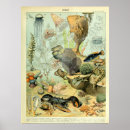 Search for vintage sea life posters Ocean