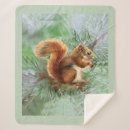 Search for red squirrel blankets Squirrels