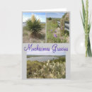 Search for gracias thank you cards Espanol
